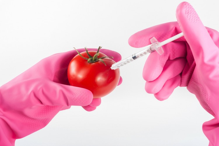 Döntött az EU bírósága: GMO-nak számít a génszerkesztett növény
