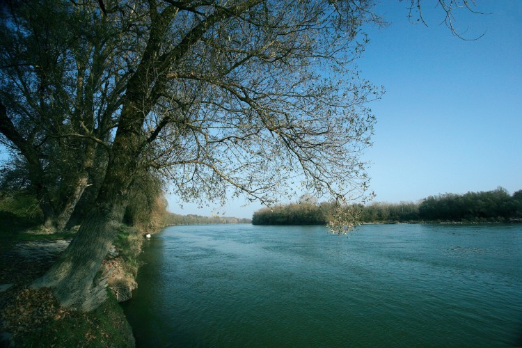 A dunaszekcsői „Telelő” Duna élőhelyrehabilitációs célú kotrása, Felső-zátonyi mellékág mederelzáró kövezés természetvédelmi célú korrekciója