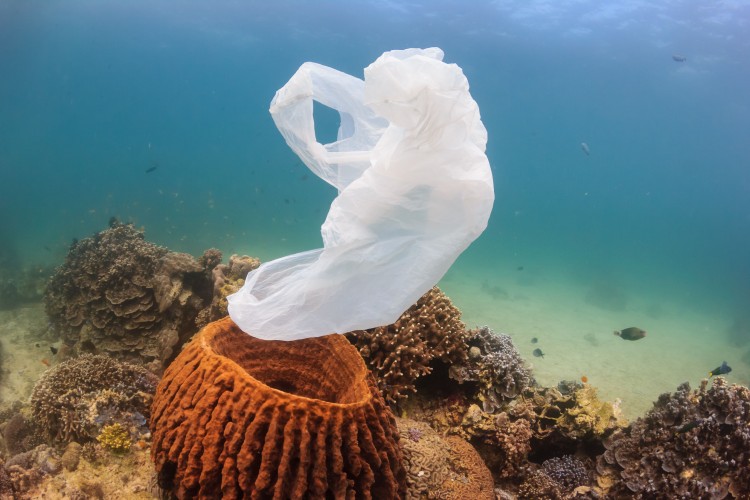 A mikroműanyagok teszik ki az óceánokat szennyező 
