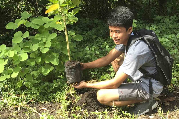 Minden Fülöp-szigeteki diáknak tíz fát kell ültetnie, mielőtt elvégzi az iskolát