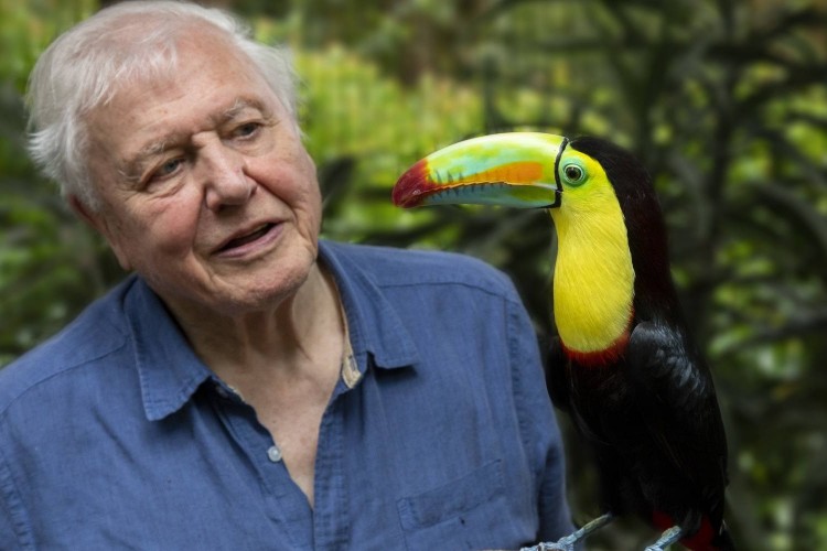 David Attenborough: A politikusok a fiatalokra sem hallgatnak