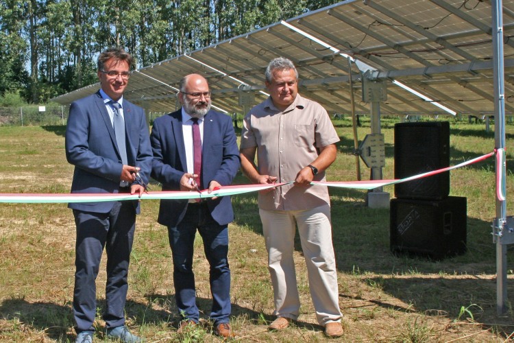 A tesztek alapján igen jól hasít a vásárosdombói napelempark