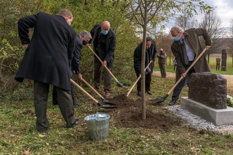 Minden elsős hallgatója után fát ültet a Soproni Egyetem