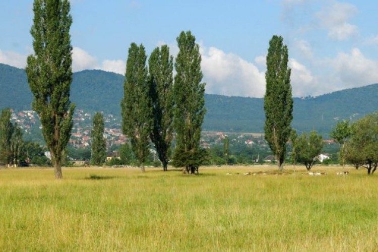 Zöld a nagyvárosban – avagy milyenek lesznek Budapest új parkjai?