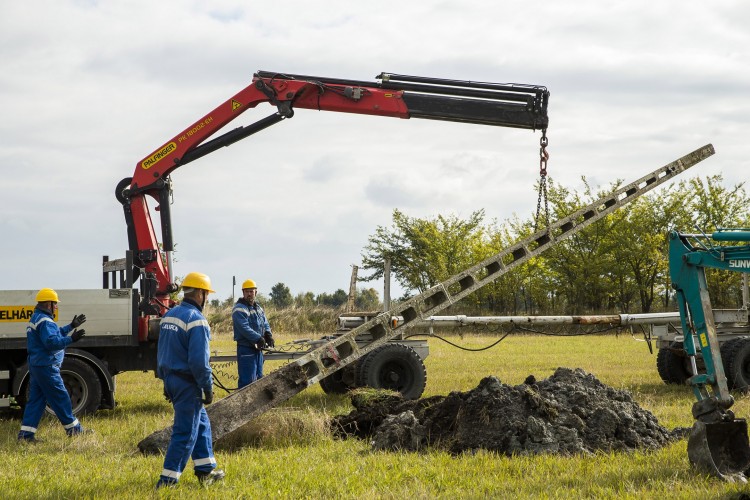 A madarak védelmében tűntek el az oszlopok a Kiskunságon