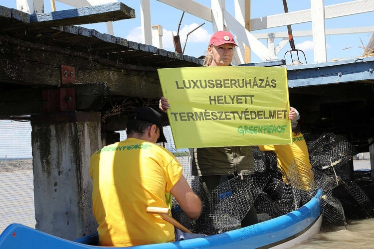 Fecskéket mentő és a természetet védő Greenpeace-aktivistákat ítélt el a bíróság