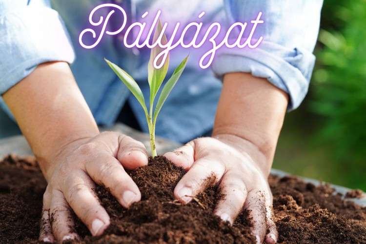Már lehet pályázni az ökotudatos pedagógusi címre