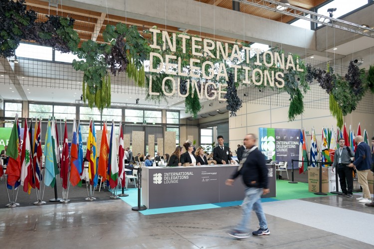 Ez volt novemberben az Ecomondo