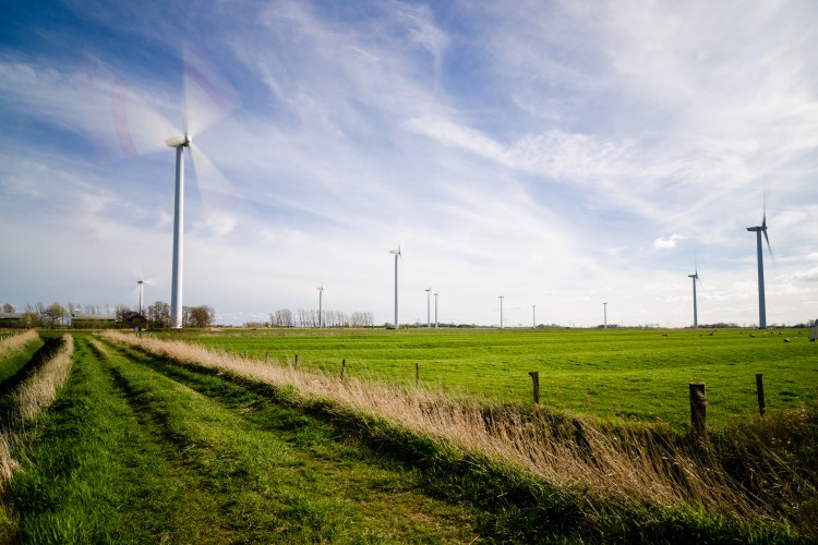 Angliában fizetnének, hogy ne termeljenek a szélerőművek
