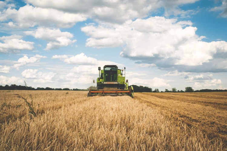 Így küzd a klímaváltozás ellen a mezőgazdaság