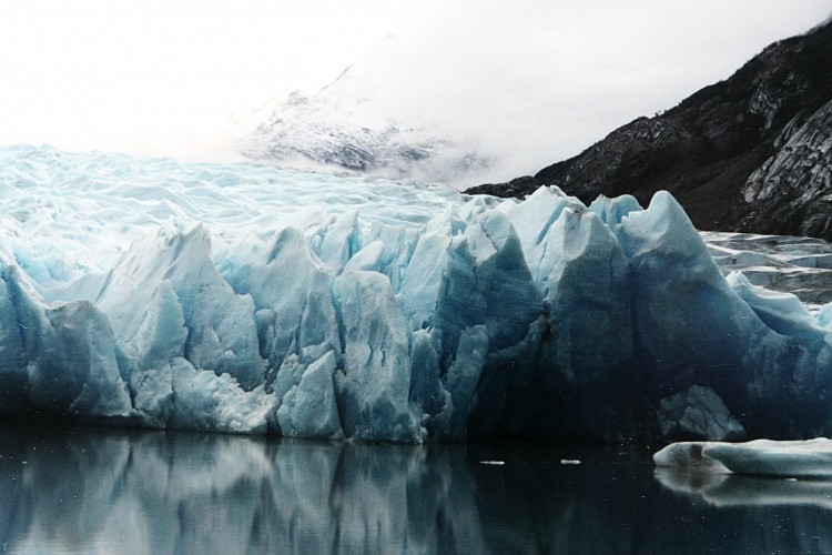 Aggasztó jelenség: egyre zöldebb az Antarktisz