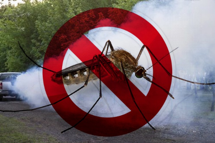 Folytatódik a szúnyoggyérítés, a Balatonnál és a Dunánál is irtanak