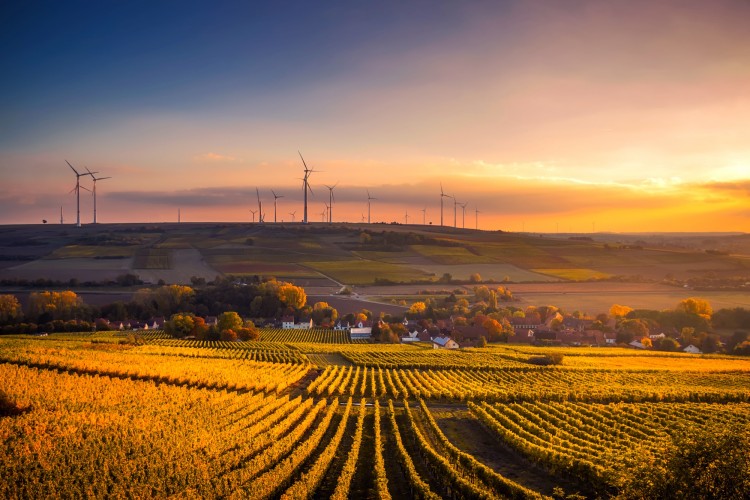 Az EU-ban Dániában a legmagasabb a szélenergia aránya az áramtermelésben