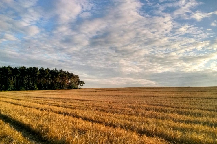 A termőtalajok fokozottabb védelmét kezdeményezi az agrártárca