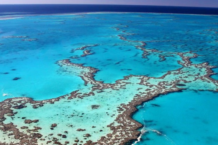 Ötvenhatmilliárd ausztrál dollárt ér a Nagy-korallzátony