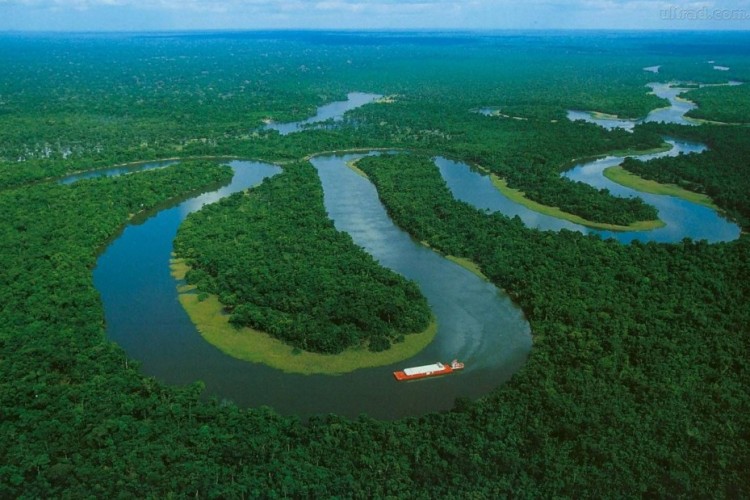Megölheti a megújuló energia az Amazonast
