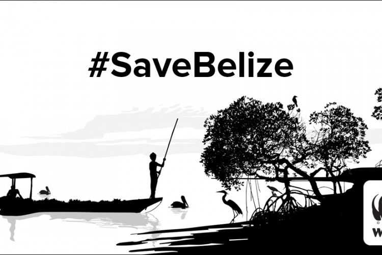 Mérföldkő a Belize Korallzátony és tengereink védelmében